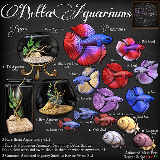 Second Life Marketplace - 8. *HEXtraordinary* Male Betta - Sunrise Blue