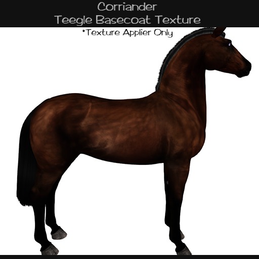 TeegleTexture: Corriander