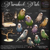 2. *HEXtraordinary* Parakeet Pal - Fancy Violet - RARE