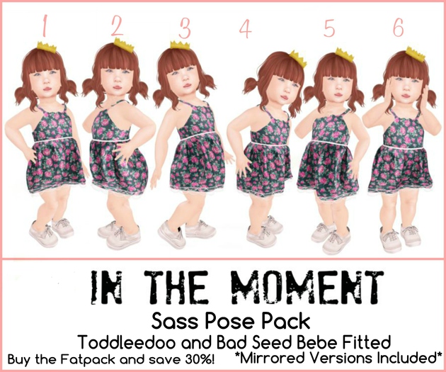 .In The Moment.Families. ~ Sass Pack ~ 003 [Box]
