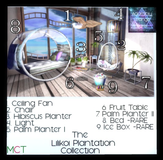 ~ASW~ The Lilikoi Plantation Plam Planter I