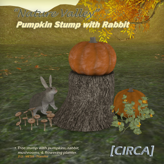 [CIRCA] Pkg - "Nature Valley" - Pumpkin Stump with Rabbit