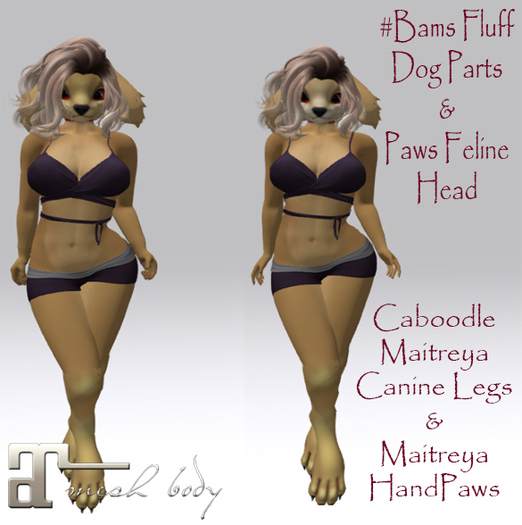 White Ravin Creations - Cocker Maitreya HandPaws Applier Boxed
