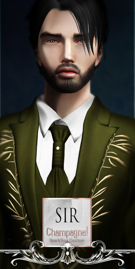 (C)DEMO/SIR Mesh Suit