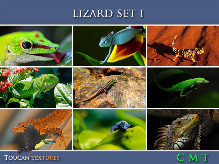 [Toucan Textures] Lizard Set I