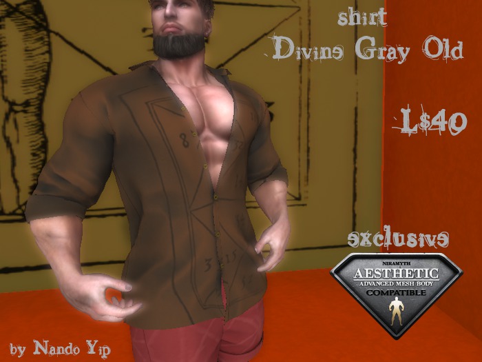 NY Shirt - DIVINE  GRAY OLD