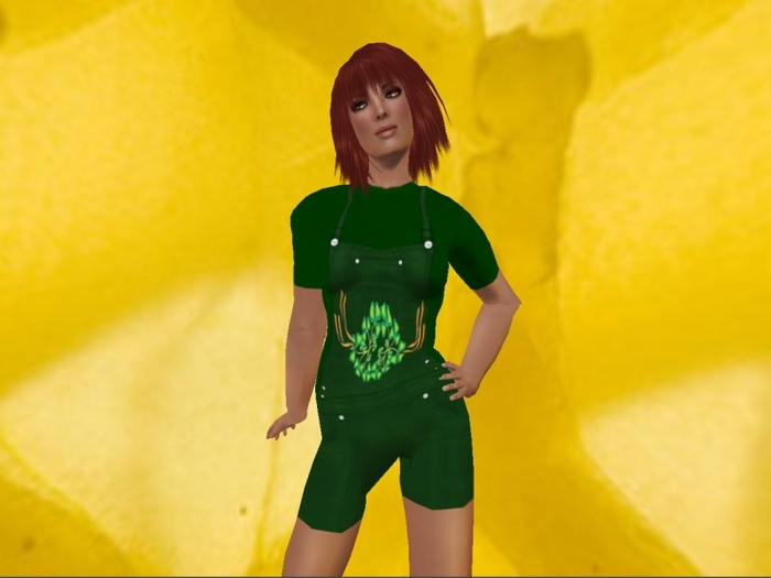 Divinity St Patricks Shamrock Bib Tee Complete Outfit TY BOXED