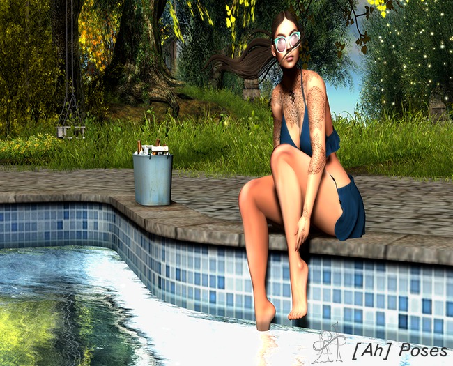 [AH] Poses - Edge pool pose