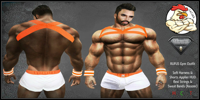 AESTHETIC Rufus Gym Outfit