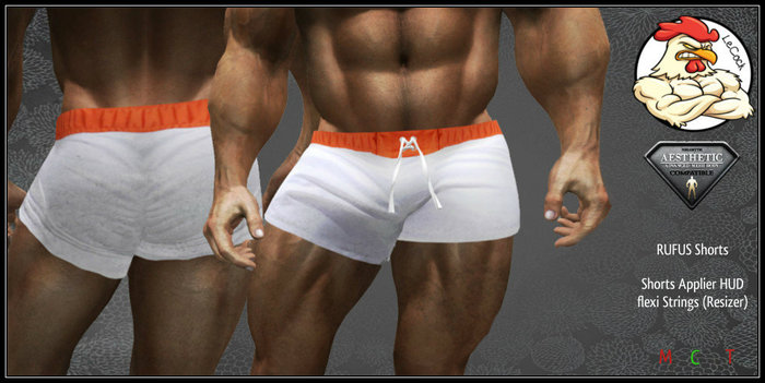 AESTHETIC Rufus Shorts