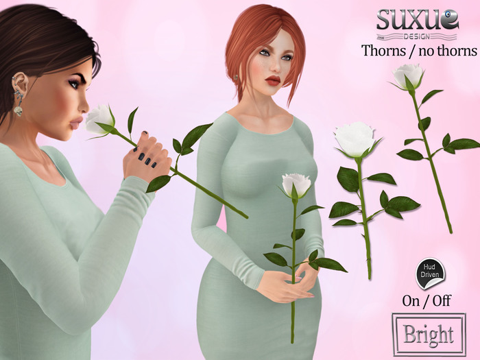 Rose White Single
