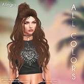 /Wasabi Pills/ Allegra Mesh Hair - All colors