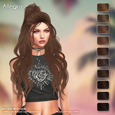 /Wasabi Pills/ Allegra Mesh Hair - Browns