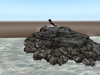 Rock 001