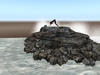 Rock 003