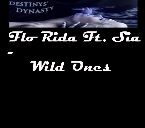 Flo-Rida feat. Sia-Wild Ones