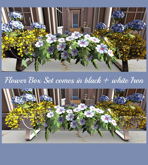 CJ Flower Box Set 01