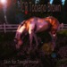 C'r tobiano brown