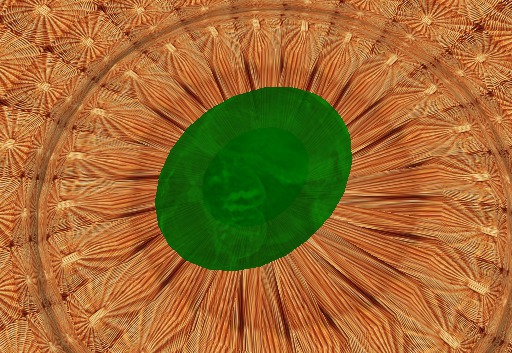WW_Egg Common Green Fairy 5.0.0