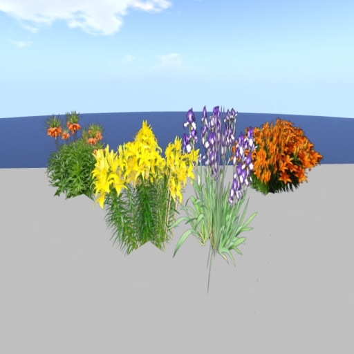 Box with 4 Lilies