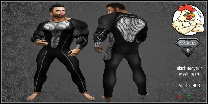 AESTHETIC Bodysuit Mesh Insert - black