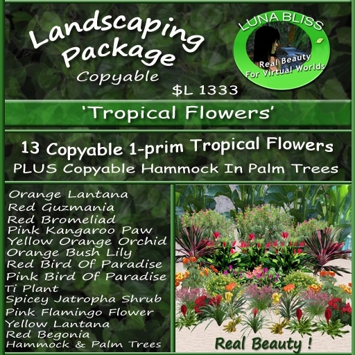 Landscaping Package 'Tropical Flowers'