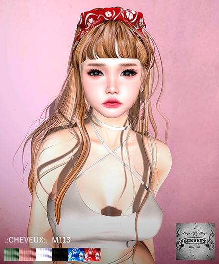 .:CHEVEUX:.M113 Hair Partymix