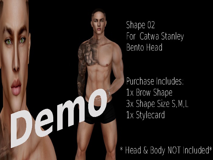 Shape 02 DEMO Stanley Catwa Head with Signature Body