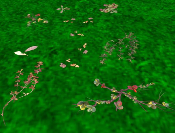 Colorful leave on the ground