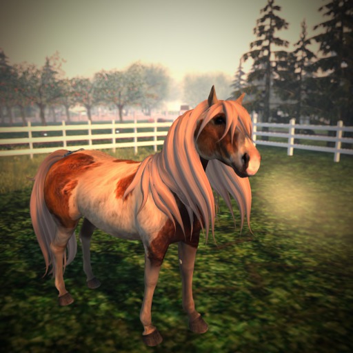 {Teegle} Icelandic Horse Shape