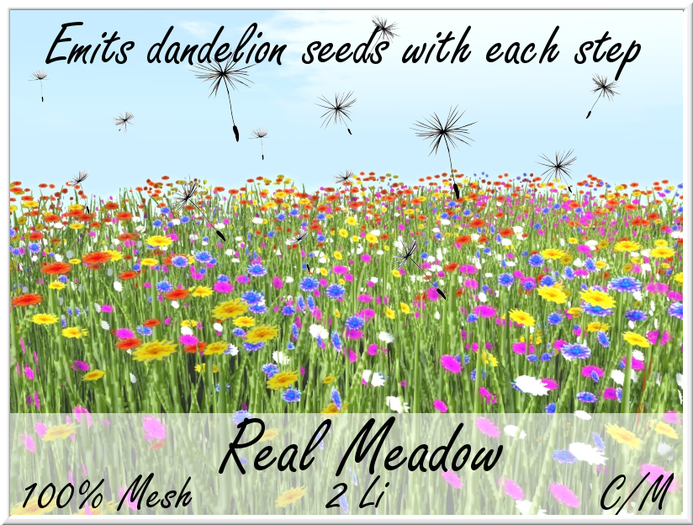 LOVE - REAL MEADOW - EMITS  DANDELION SEEDS WITH EACH STEP
