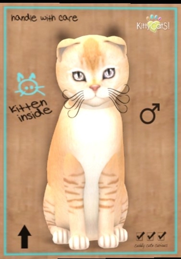 KittyCatS Box - Burmilla - Red Silver Shaded .7