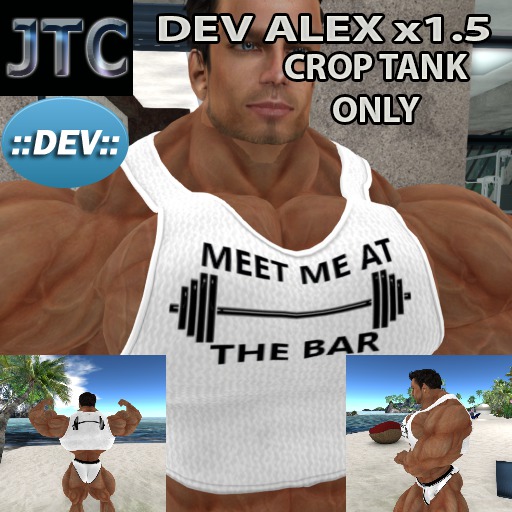 JTC DEV TANK CROP AtTheBar WHITE ALEX x1.5[CRATE]