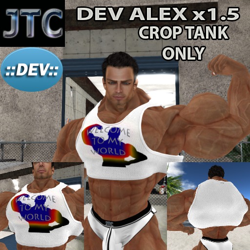 JTC DEV TANK CROP MY WORLD WHITE ALEX x1.5[CRATE]