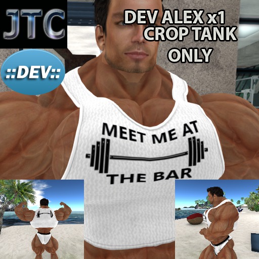 JTC DEV TANK CROP AtTheBar WHITE ALEX x1[CRATE]