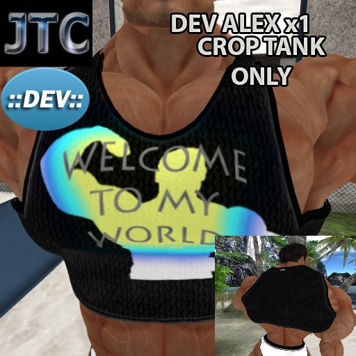 JTC DEV TANK CROP MY WORLD BLACK ALEX x1[CRATE]