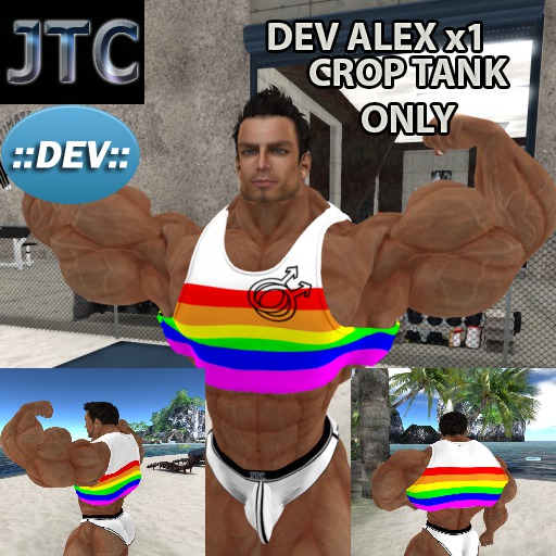JTC DEV TANK CROP RAINBOW MALE ALEX x1[CRATE]