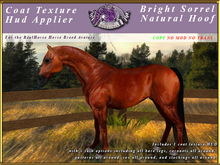 *E* RealHorse Coat Texture HUD [BOXED]  Brite Sorrel  Natural