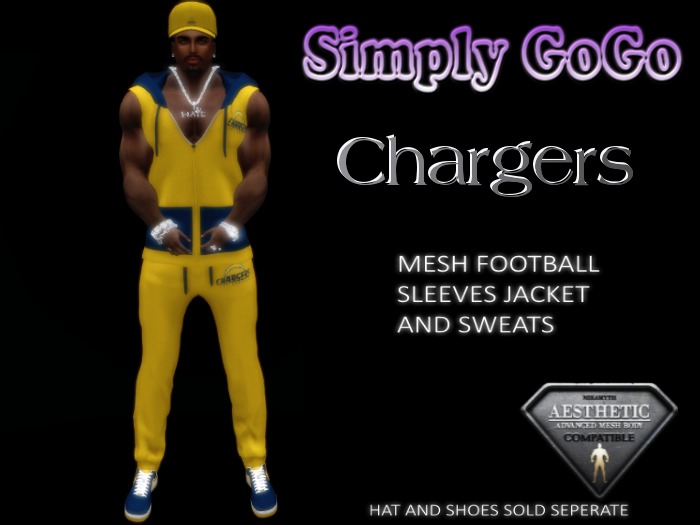 (GA) Chargers