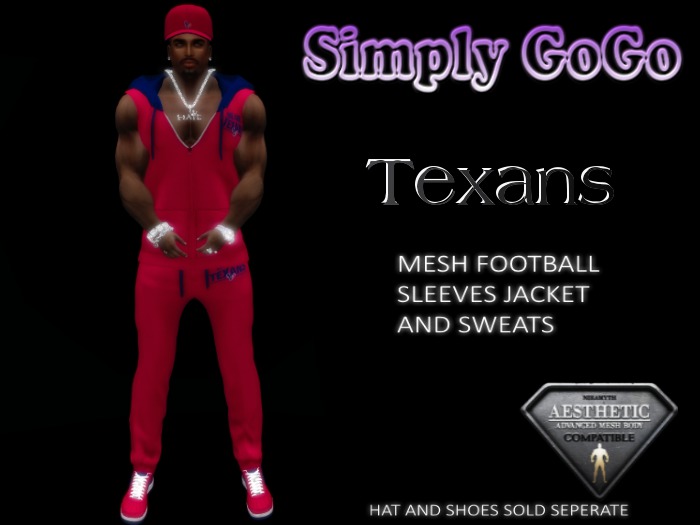 (GA) Texans