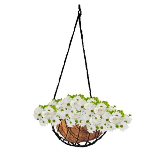 FULL PERMS Flower Plant Hanging Basket Spring Roses Daisies Texture ORIGINAL High Quality TGA FF157