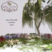 Kathy%60s garden wild flowerspic2