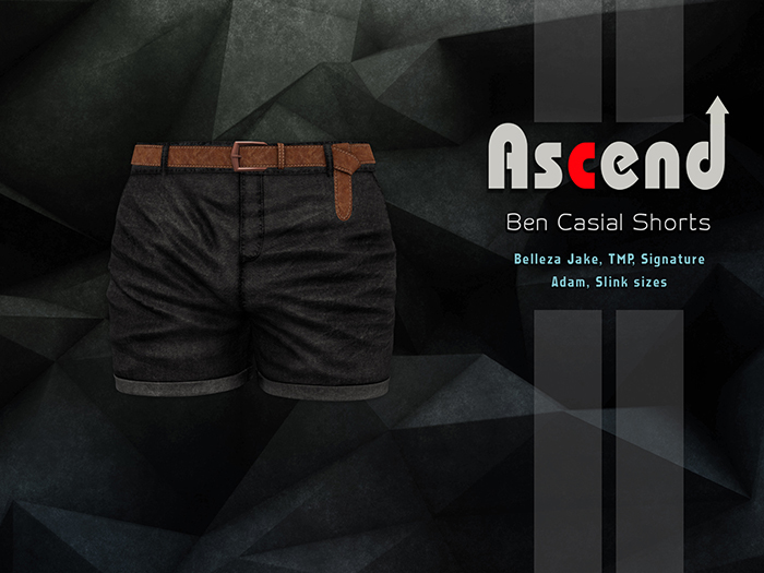 //Ascend//Ben casual Shorts - Black