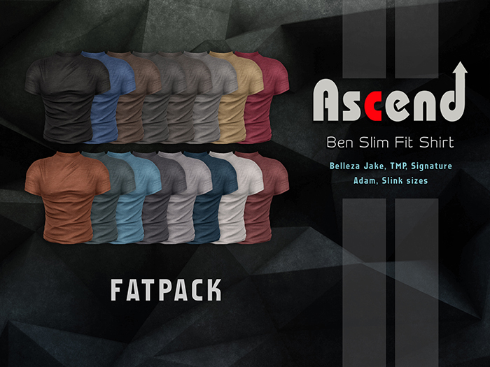 //Ascend//Ben Slim Fit Shirt - FATPACK