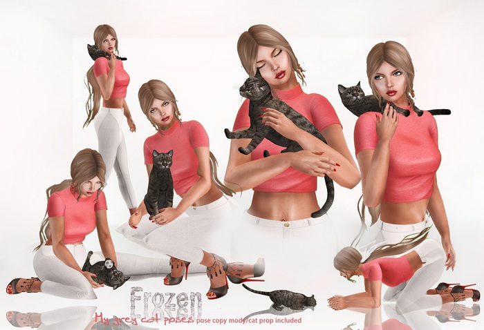 Frozen - My Grey cat poses