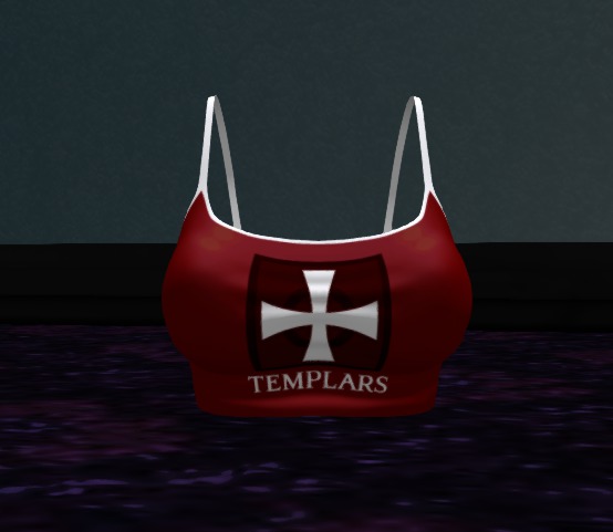 Templars Winter Top Mod