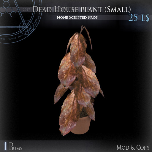 (Box) Dead House plant (Small)