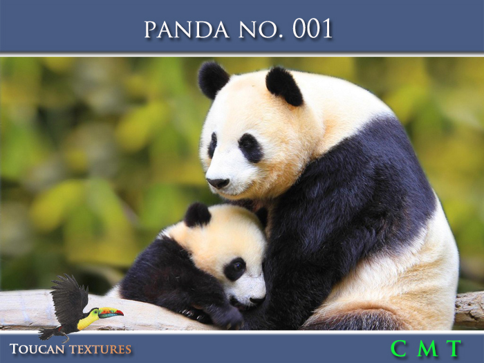 [Toucan Textures] Panda No. 001