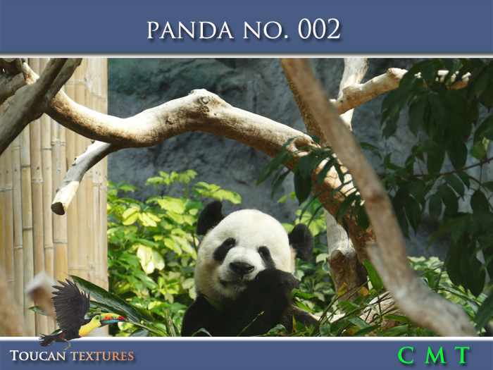 [Toucan Textures] Panda No. 002