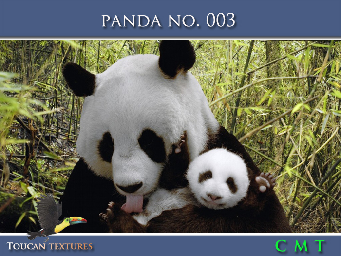 [Toucan Textures] Panda No. 003